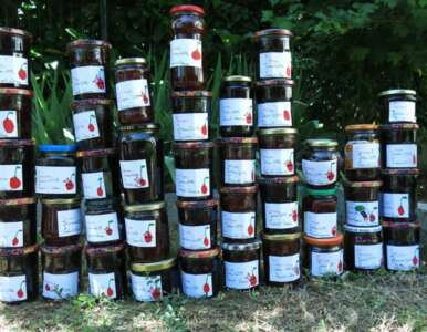 confiture-sans-sucre