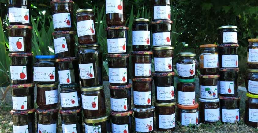 confiture-sans-sucre