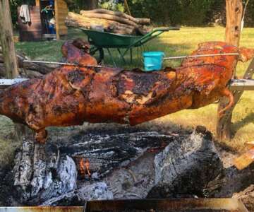prix-dun-cochon-de-lait-pour-50-personnes
