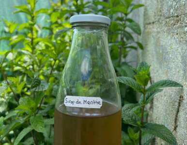 recette-sirop-de-menthe-sans-sucre